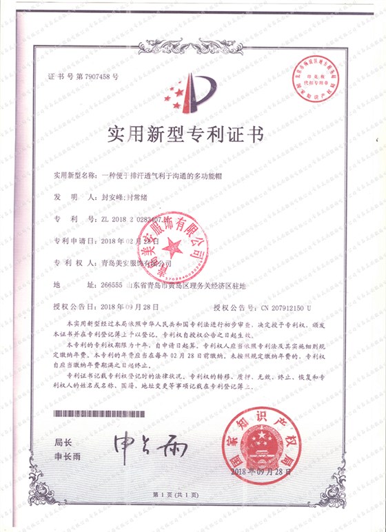 專(zhuān)利10