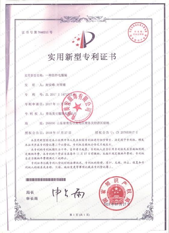 專(zhuān)利11