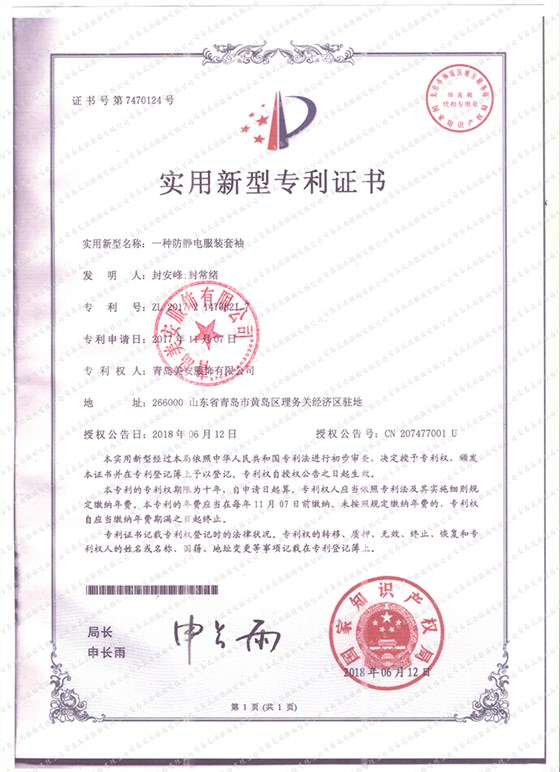 專(zhuān)利2