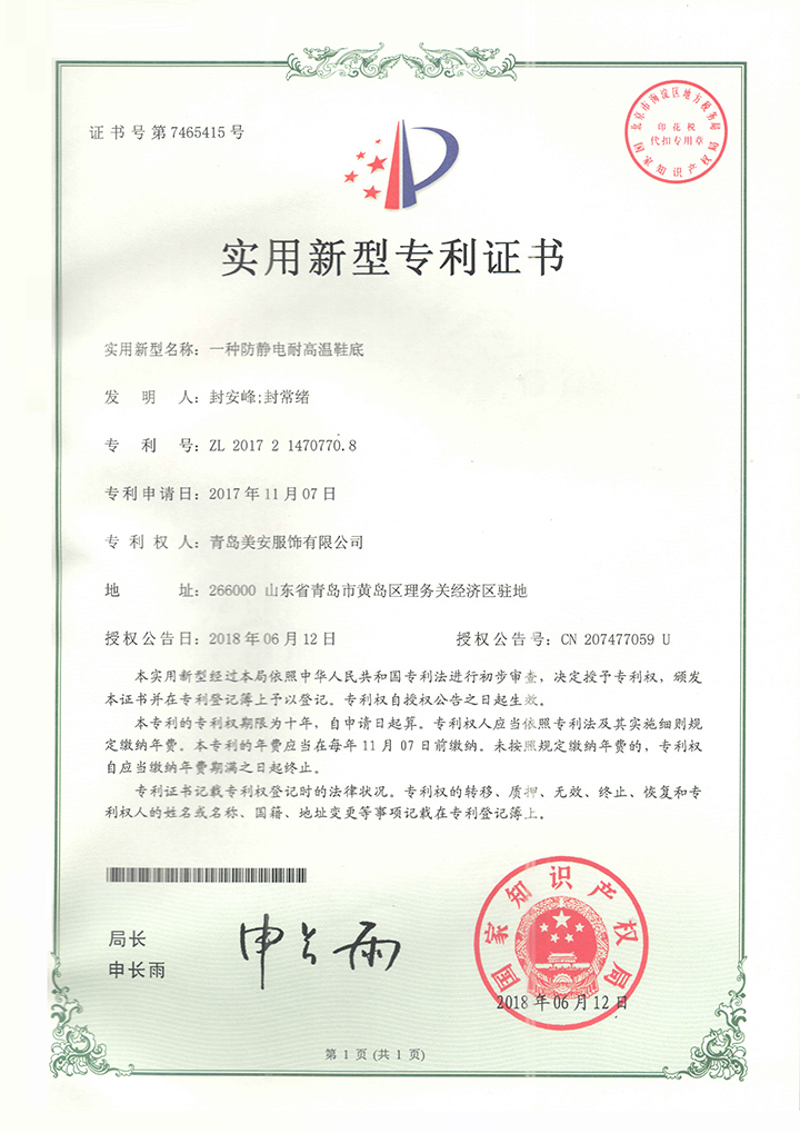 005專利-(12)