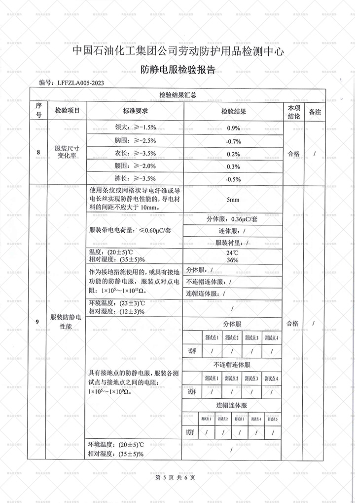 勞安年檢防靜電服二連體檢測報告（東營）-6